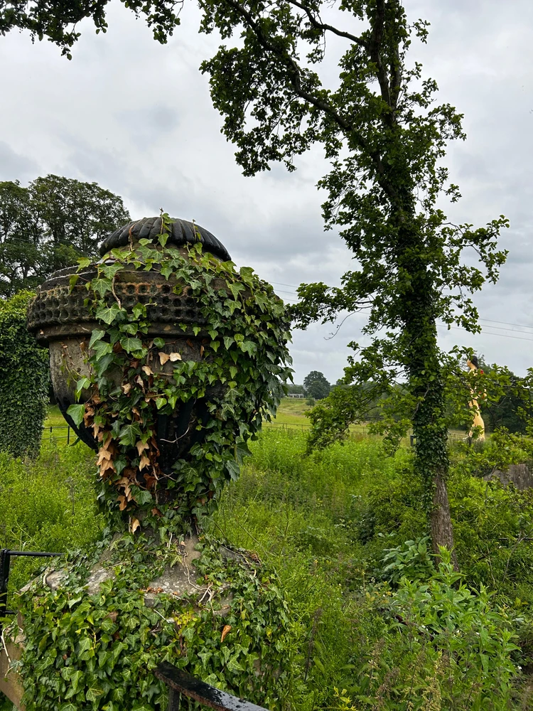 Gambar diunggah dening Shelley