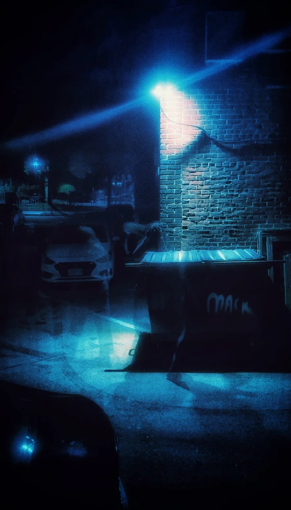 Image uploaded by Nick