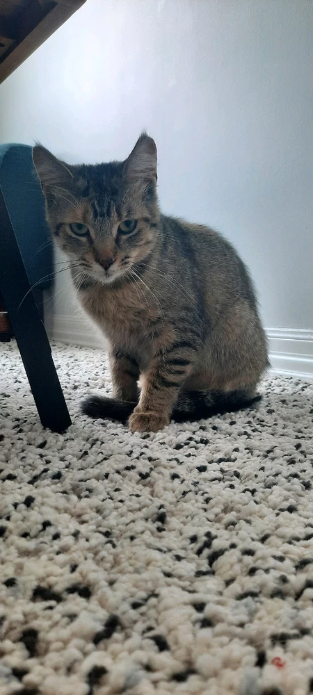 Image uploaded by Skylar