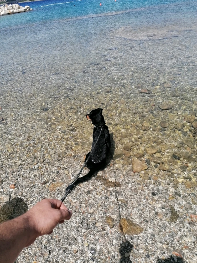 Image uploaded by Renux