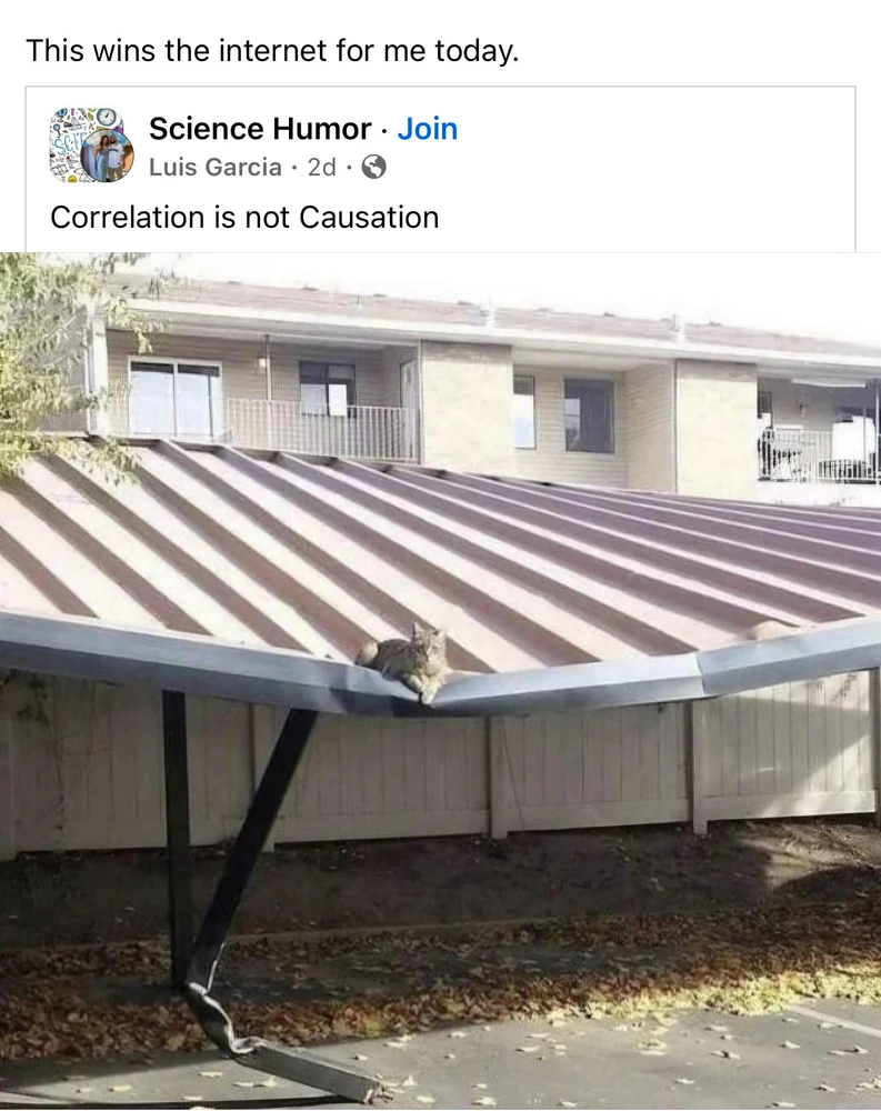 Image uploaded by Anna