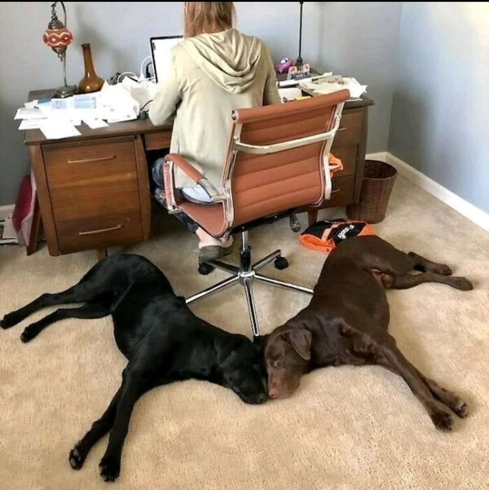 Image uploaded by ZanDeeKai