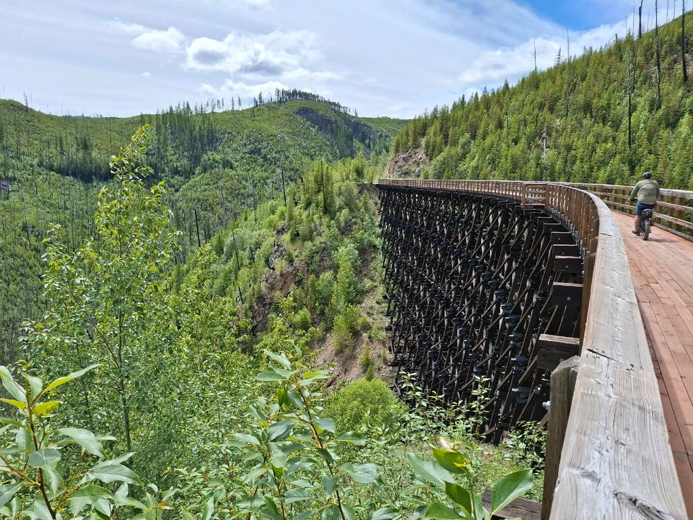 Image uploaded by Aiden