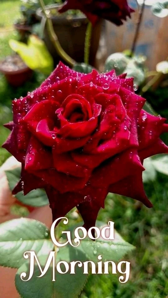 Image uploaded by Chindi