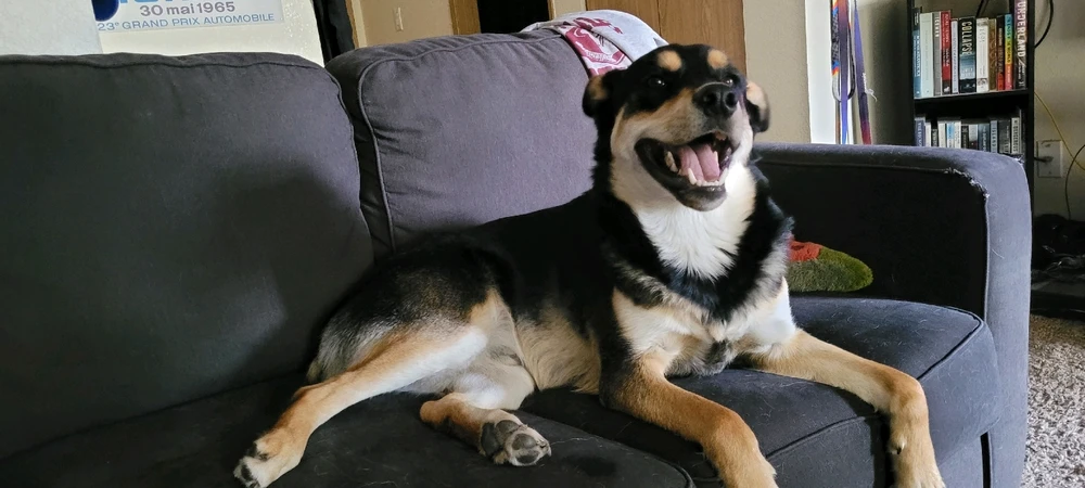 Cosmo