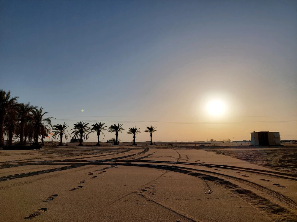 A sunset view in the desert of Sahara with palm trees and sand in Libya.
