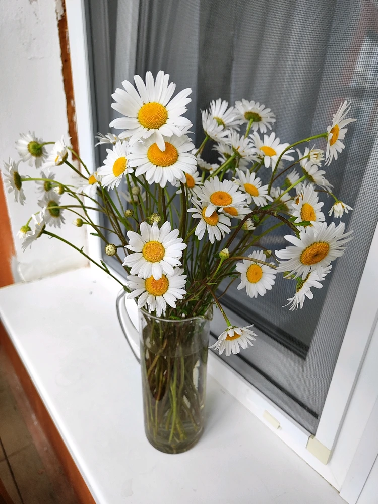 Image uploaded by Elena