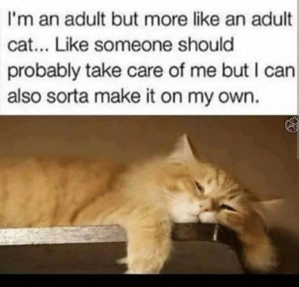 Image uploaded by Elle