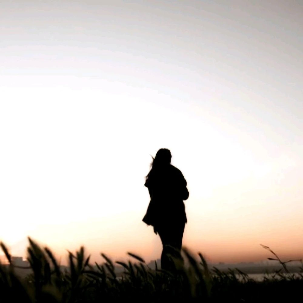 Image uploaded by Stephen P.