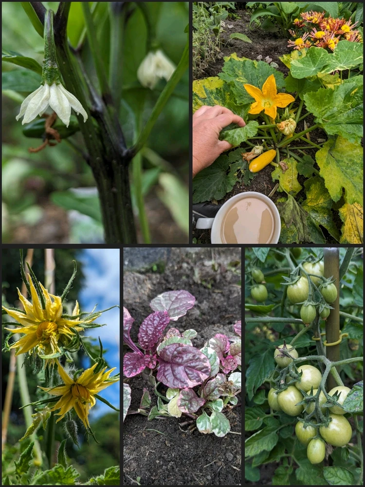 Zdjęcie dodane przez Agata J.