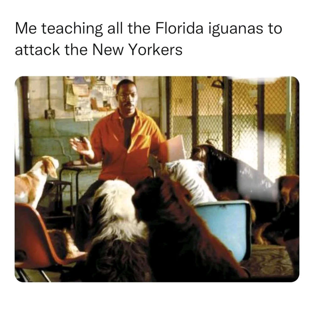 Image uploaded by Dean