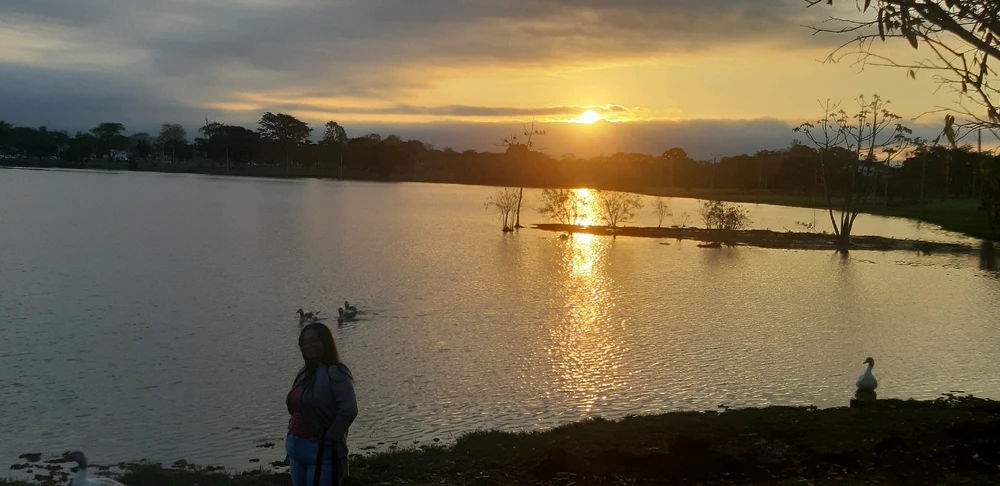 Pedroがアップロードした画像