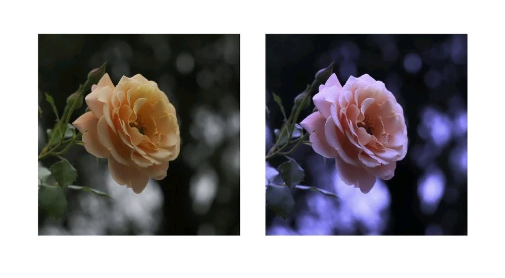 Imagen subida por Ezequiel