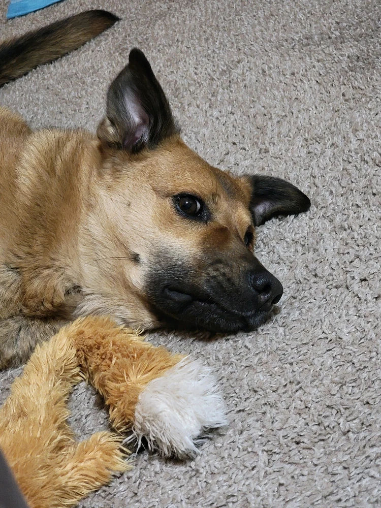 Image uploaded by Conner