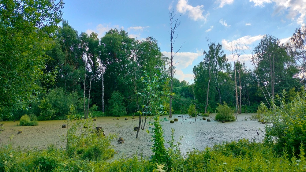 Выява загружана Teratos Genes