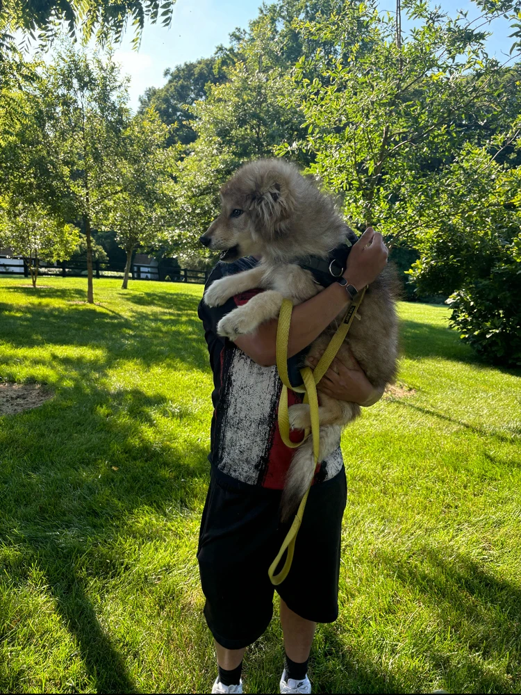 Image uploaded by Calvin