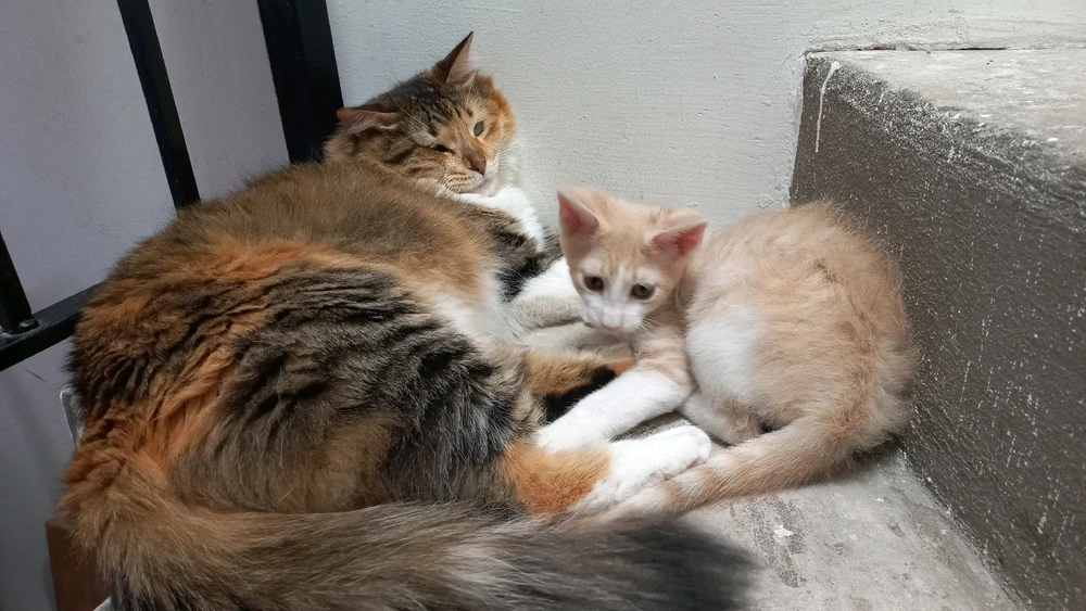 Bild uppladdad av Jon