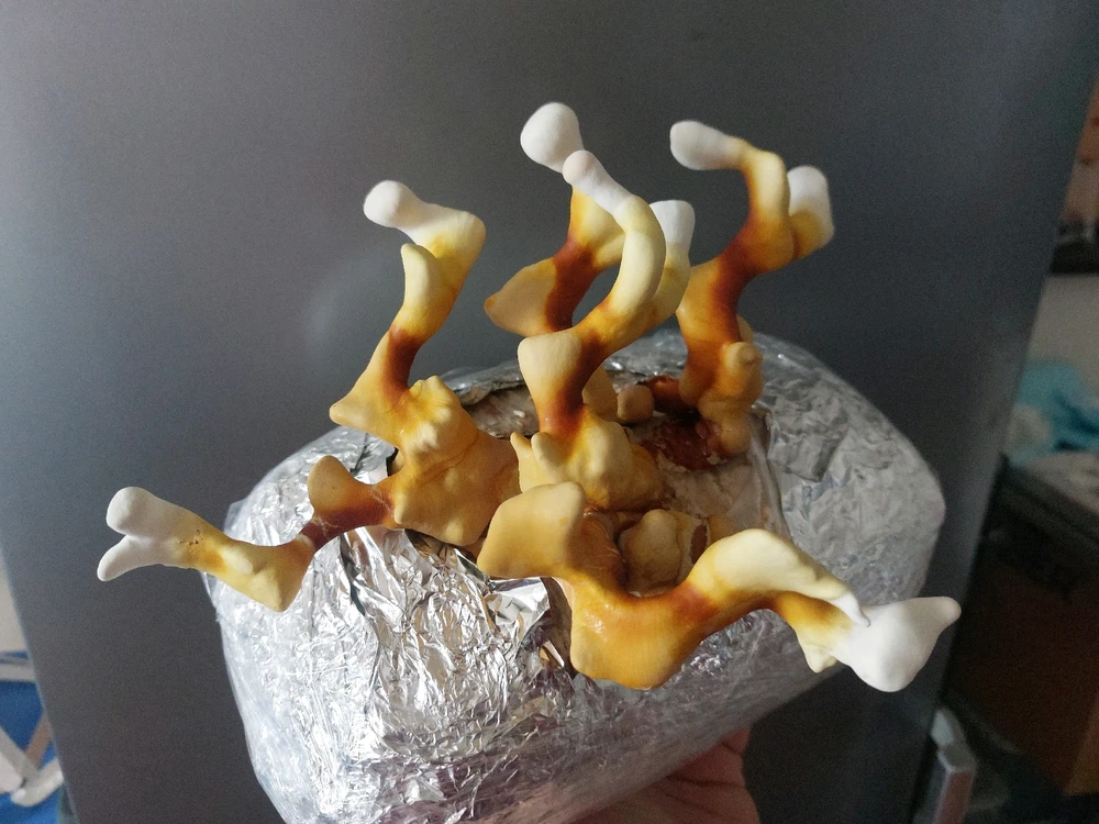 Obrázek nahrál michalbarr