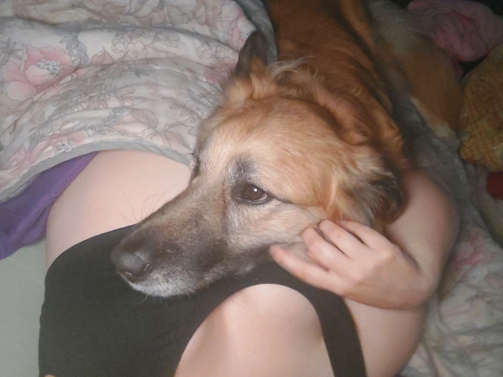 Imagen subida por Susana