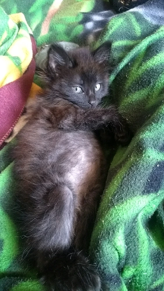 Imagen subida por Mary