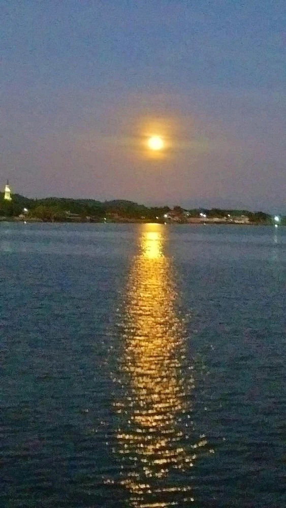 Trat,🇹🇭2016