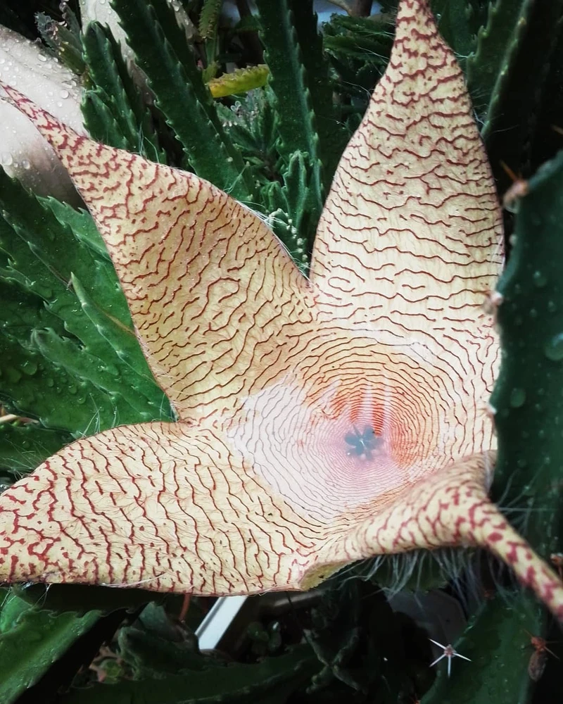 Imagen subida por Jersain Garcia