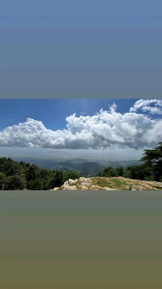 Mert tarafından yüklenen görsel