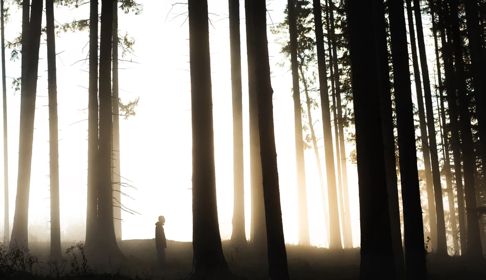 Obrázek nahrál Filip