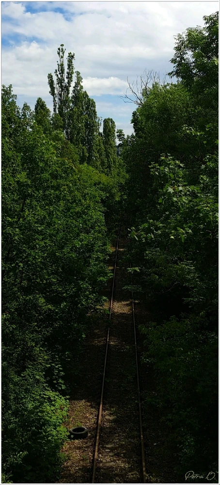 Image uploaded by Petra