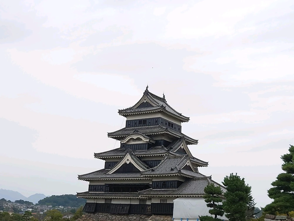 ひろがアップロードした画像