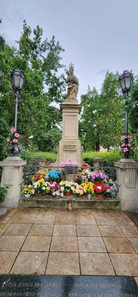 Image uploaded by Wajeeh