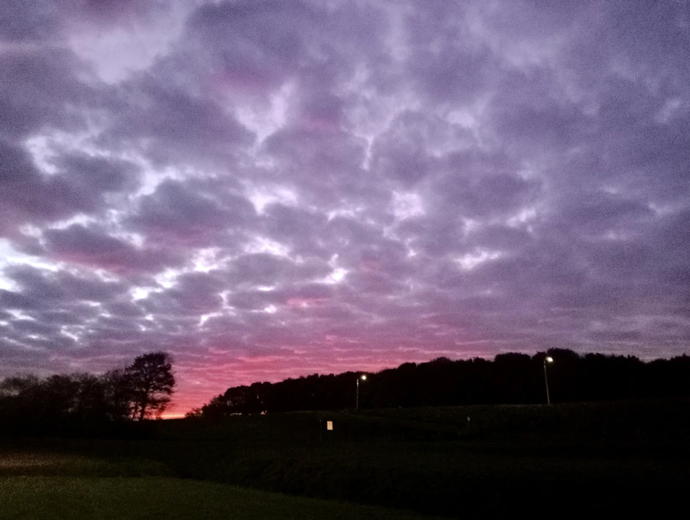 Pic at dawn in North Holland with the best purpleish clouds I ever saw in my entire life for it's still unbelievable holy xx