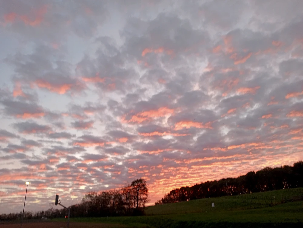 Dawn to sunrise pic with the sky amazing yellowish pinkish clouds in North Holland and a few minutes ago clouds were purple