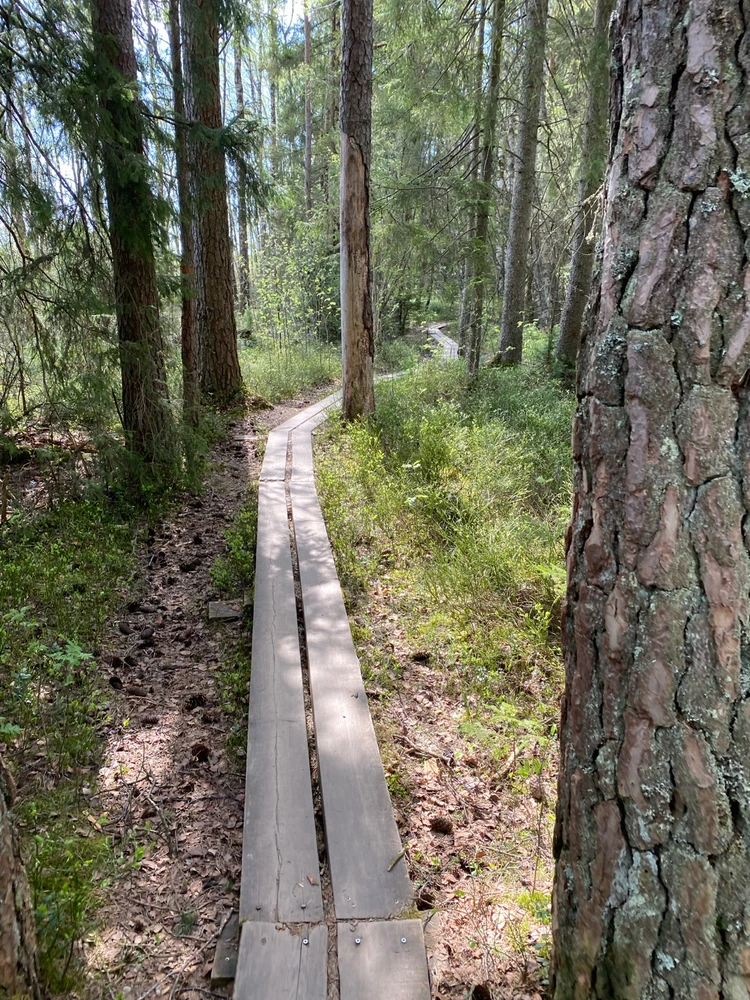 Bild uppladdad av Lix