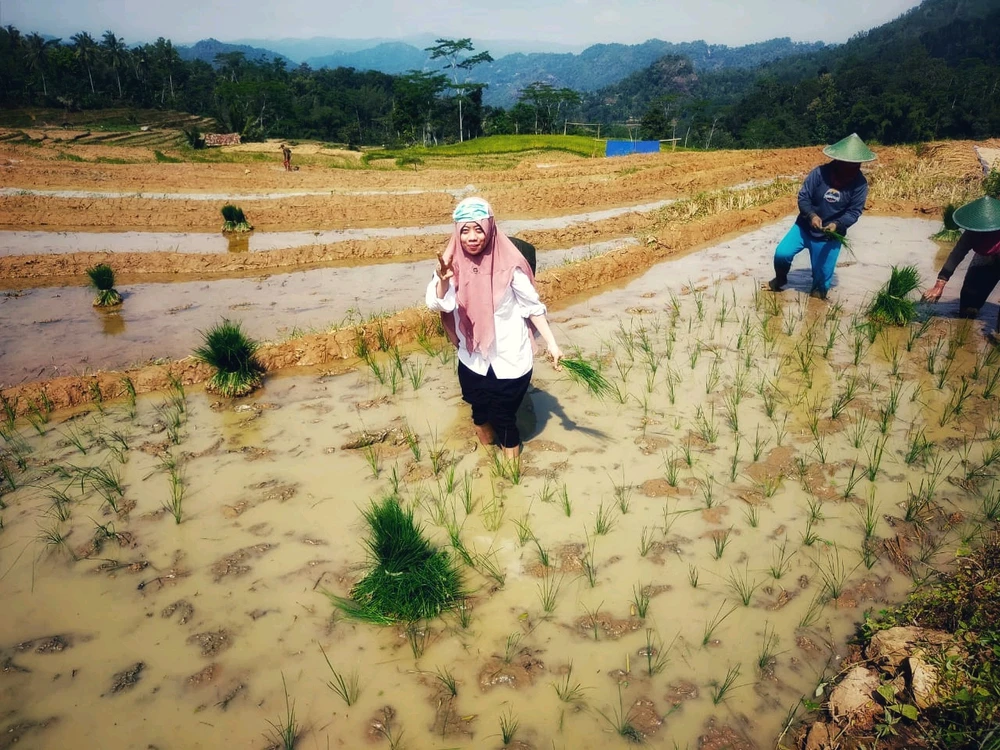 Image uploaded by Nares