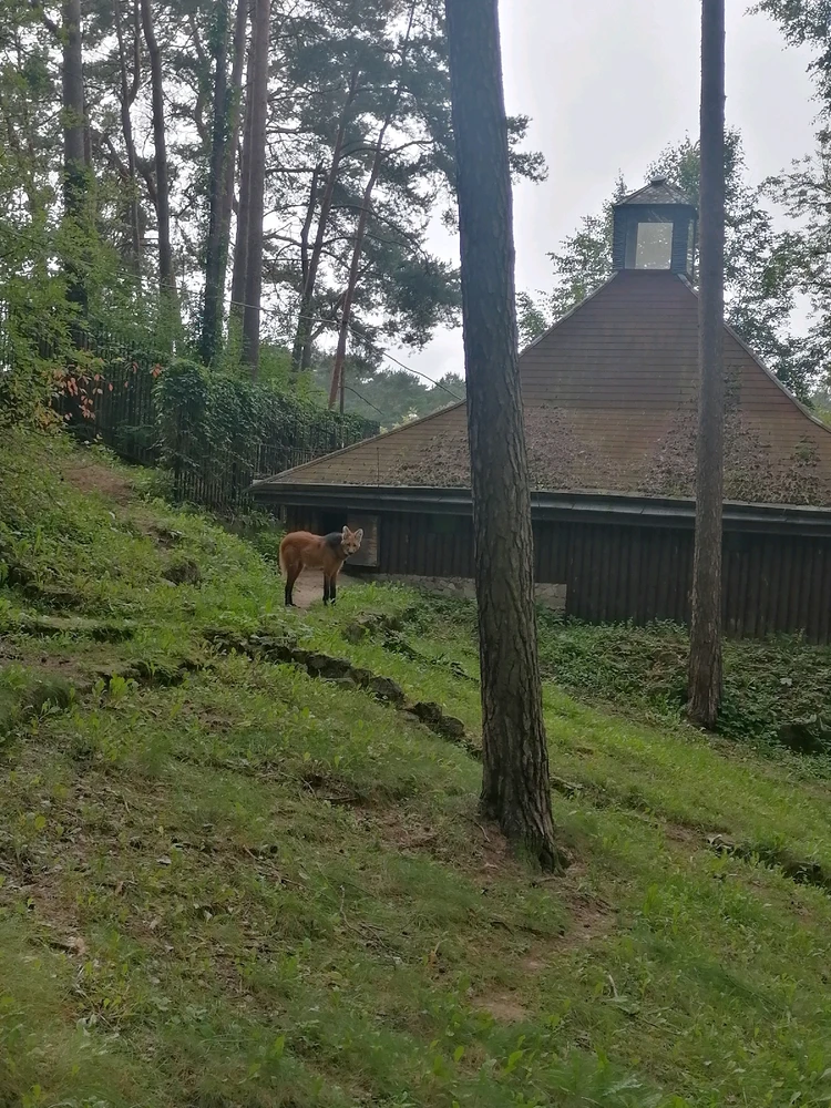 Obrázek nahrál Marek