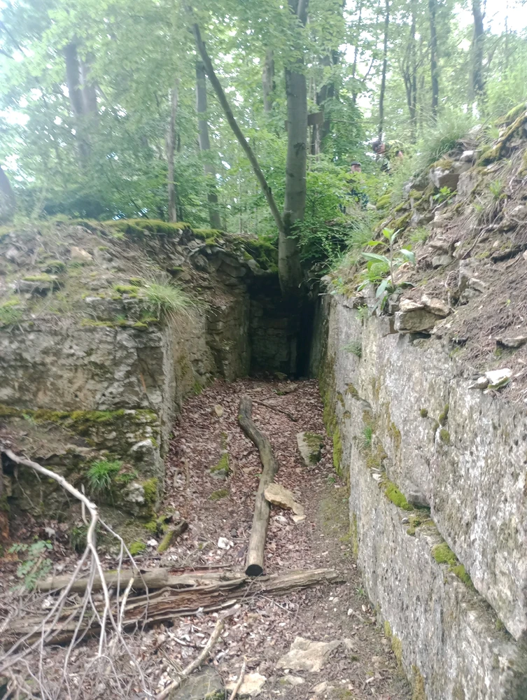 Image uploaded by Mikołaj