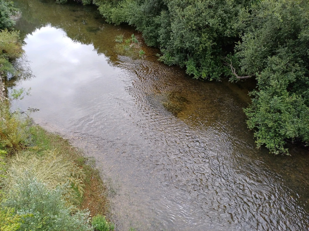 Imagem enviada por José Santos