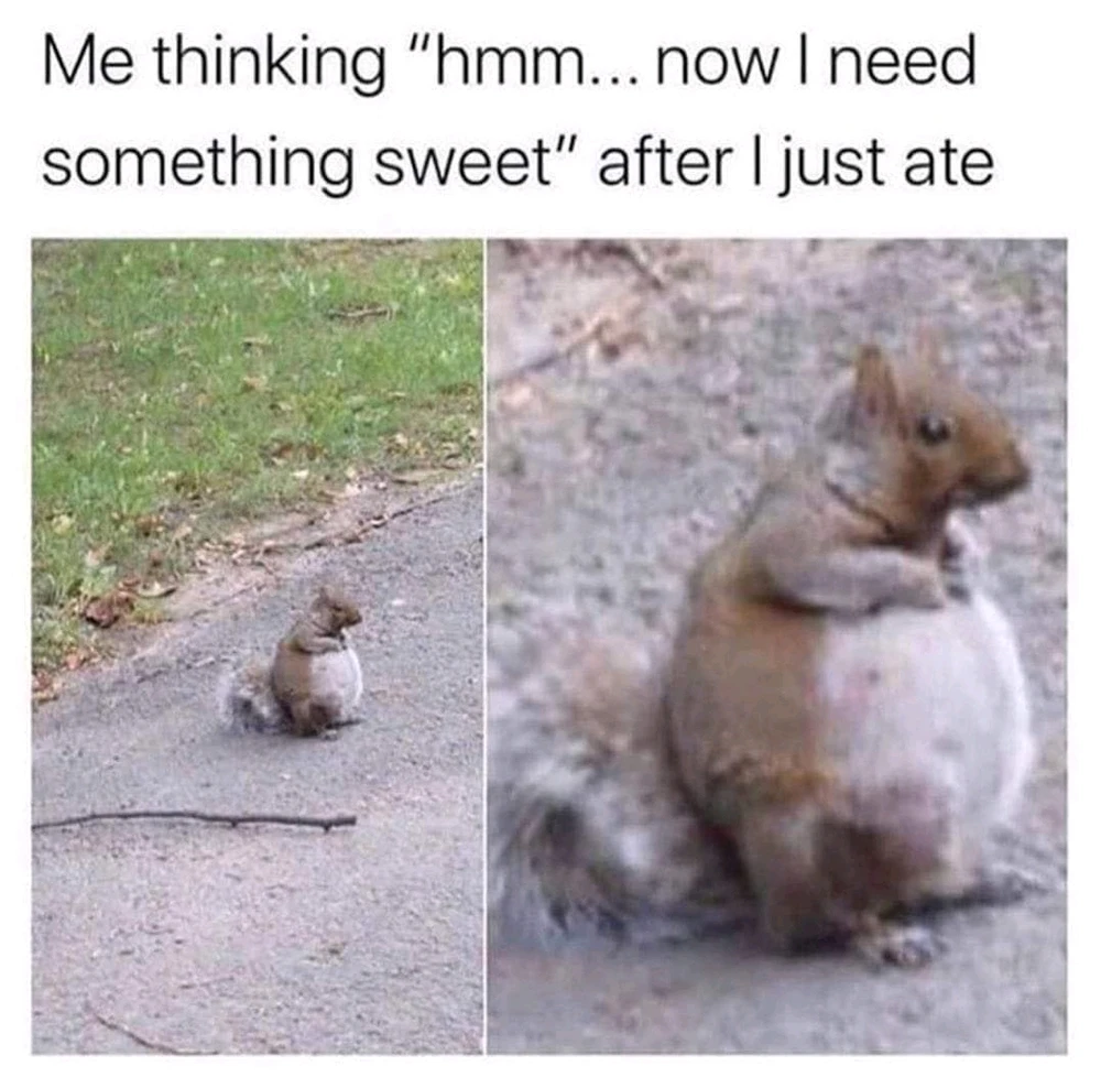 Afbeelding geüpload door Paul