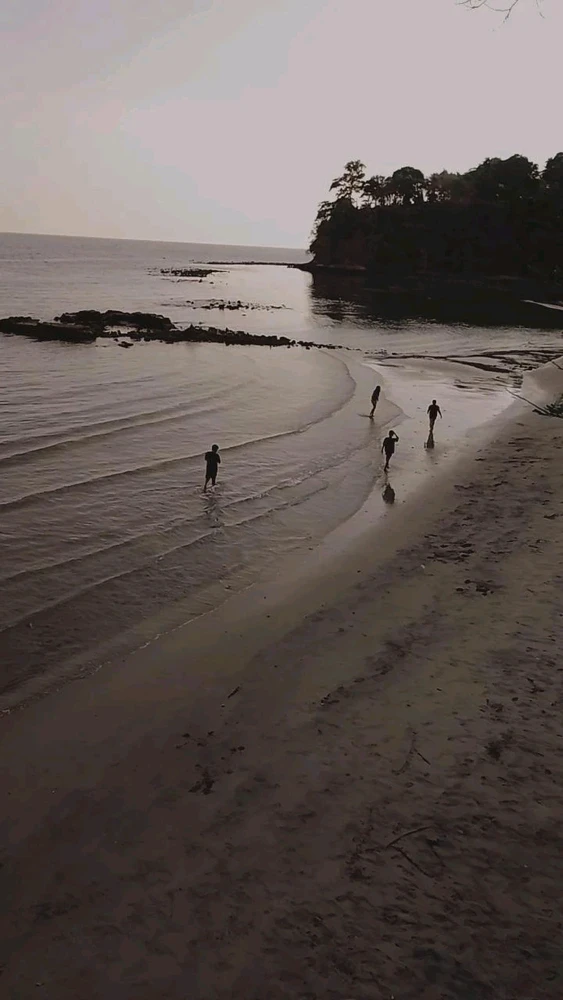 Image uploaded by Chicken