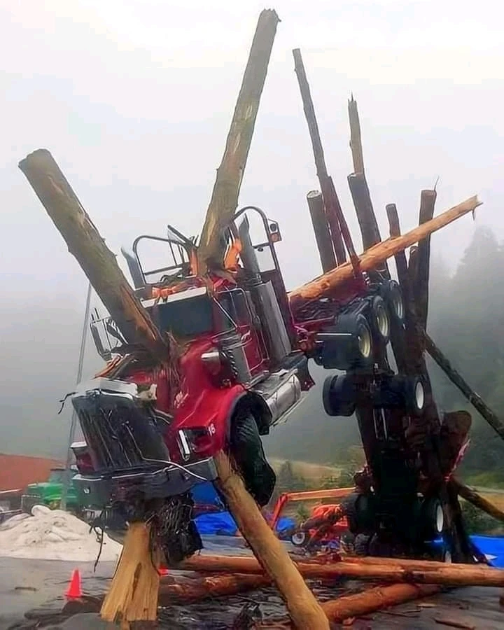 Image ajoutée par Anthony