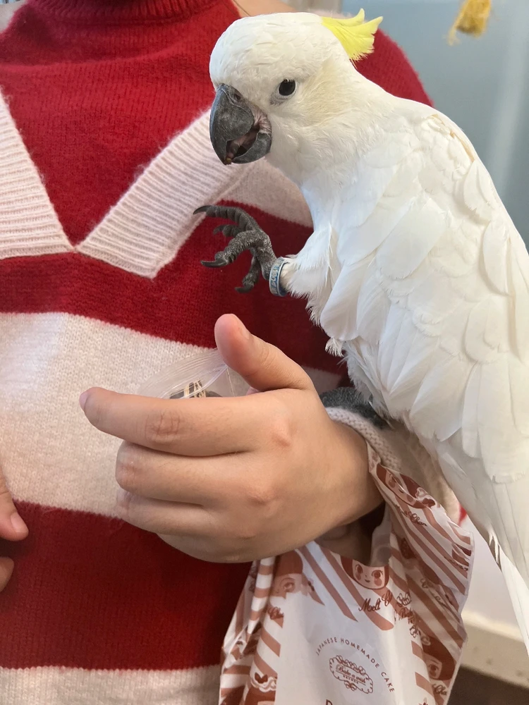 รูปที่อัพโหลดโดย คิริน