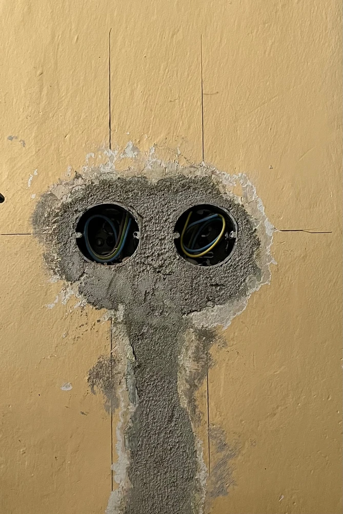 Obrázek nahrál 🤍