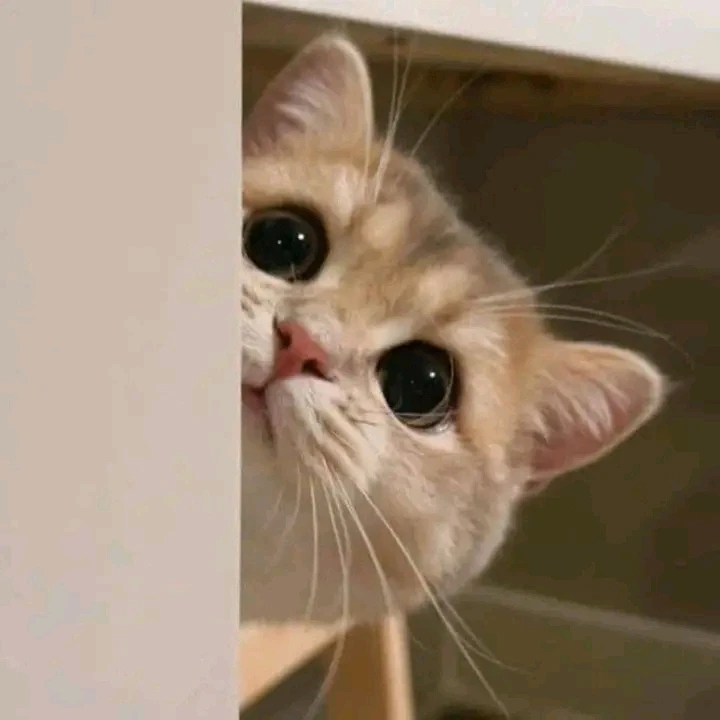 صورة رفعها Nour