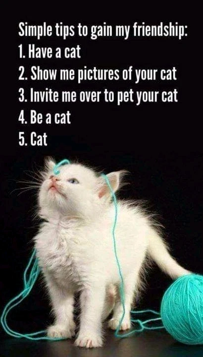 Afbeelding geüpload door Paul