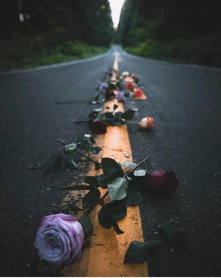 Imagem enviada por Daiana Alves