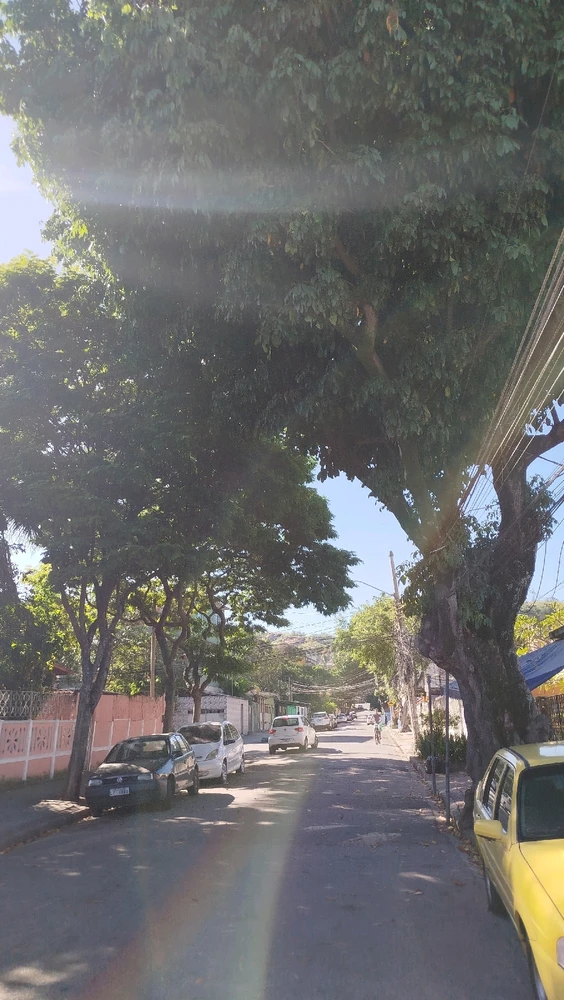 Imagem enviada por Rafael Salustiano