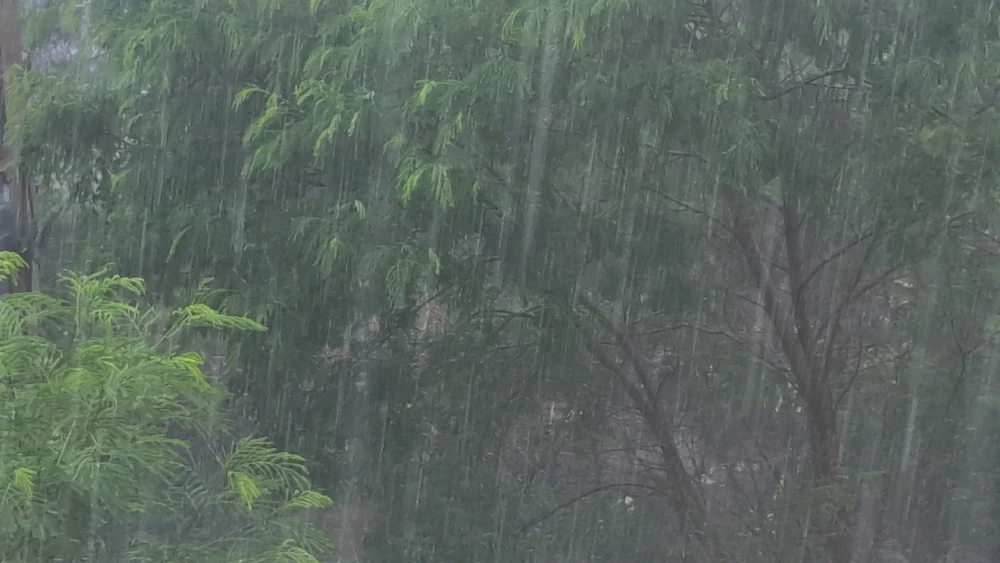 Imagen subida por uriel