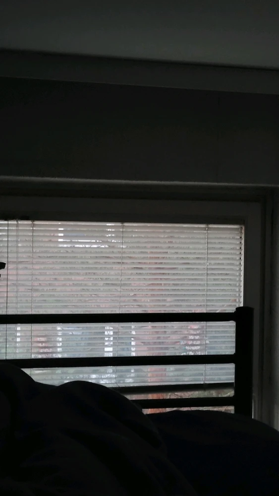 Image uploaded by Luanne