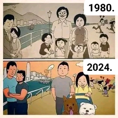 Imagem enviada por Bruno Tadeu Reis Matos